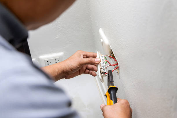 Best Home Electrical Repair  in Mayville, NY