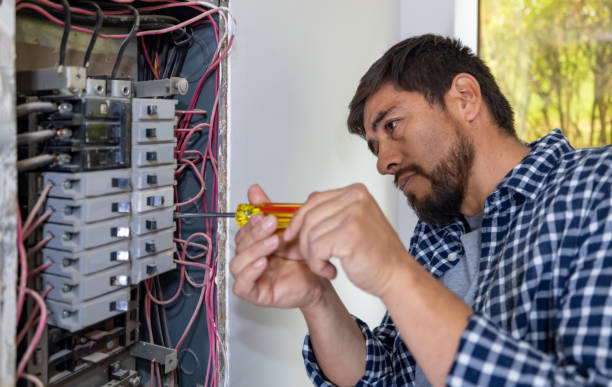 Best Electrical System Inspection  in Mayville, NY